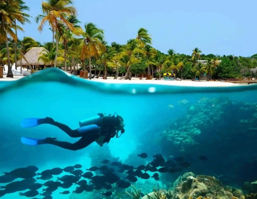 Catalina Island - Diving in the Caribbean